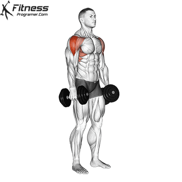 Lateral Raise
