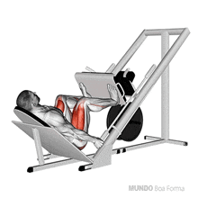 Leg Press