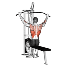 Pull-Up / Lat Pulldown