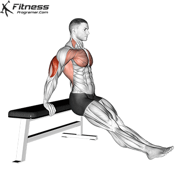 Triceps Dip