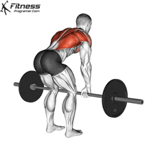 Barbell Row