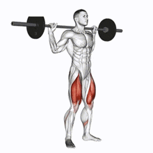 Squat